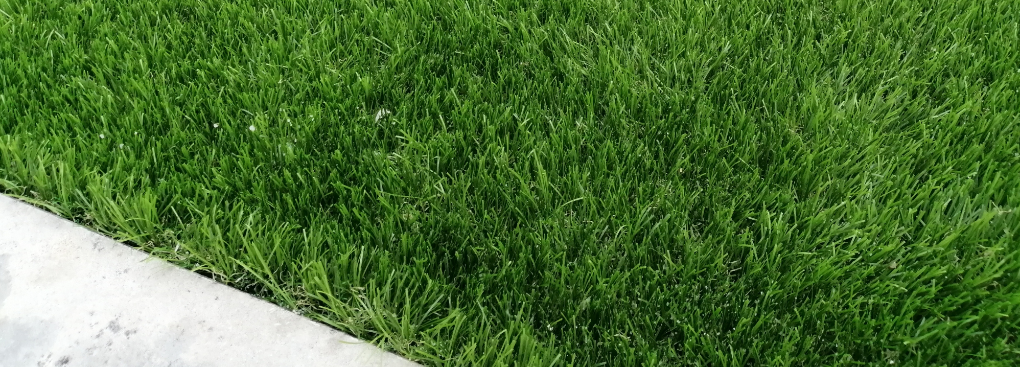 MARTURF - Relva Artificial